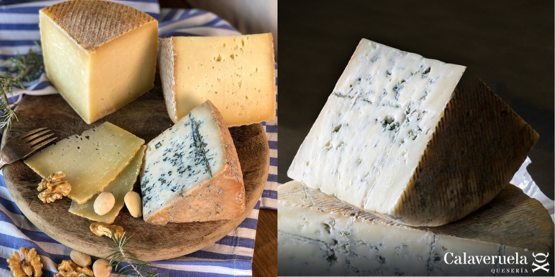 Made in Spain Gourmet Cheeses