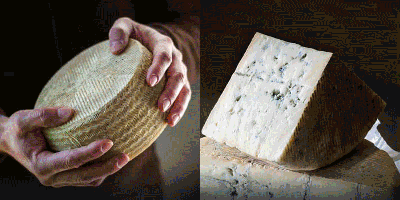 Made in Cordoue : Quesos Calaveruela de Córdoba : fromages de brebis et beurre artisanal de classe mondiale